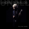 Andru Donalds - Falling down - Singlecover