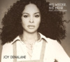 Joy Denalane, Nie Wieder Nie Mehr - Singlecover (VÖ 12.08.2011)