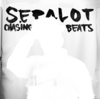 Sepalot - Chasing beats (Album, VÖ 10.08.2012)