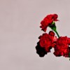 John Legend - Love In The Future (Album, VÖ 30.08.2013)